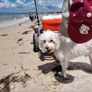 Meet your Posher, Lynn